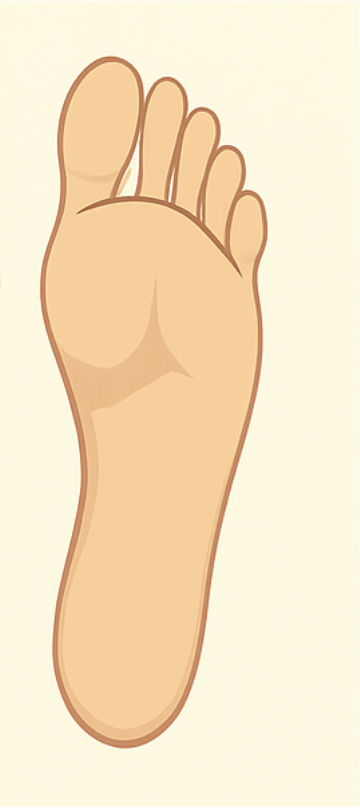 Resultado de atendimento podológico